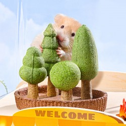 ��ǰ�̹���